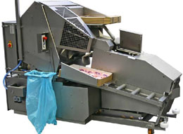 auto packing machine